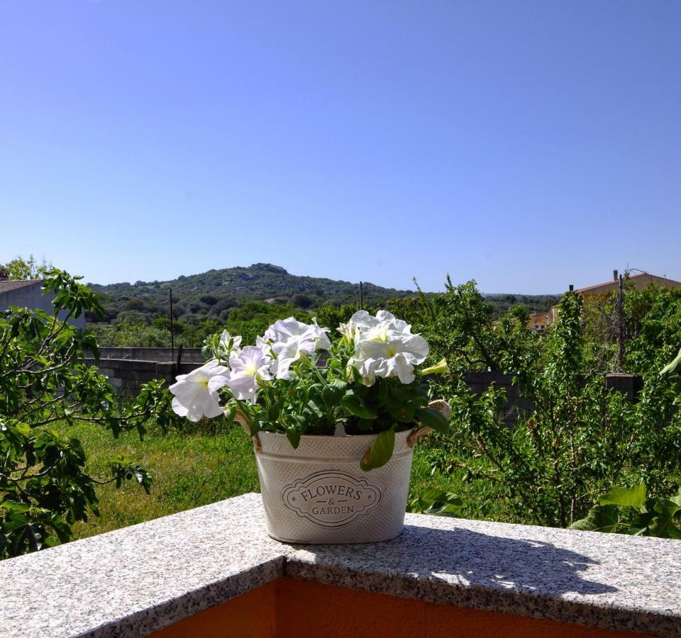 Casa Duminicheddha, Mare E Relax In Gallura Bassacutena Zewnętrze zdjęcie