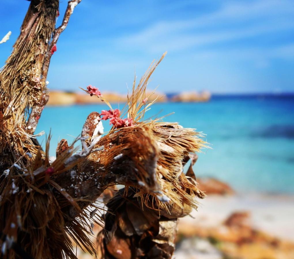 Casa Duminicheddha, Mare E Relax In Gallura Bassacutena Zewnętrze zdjęcie